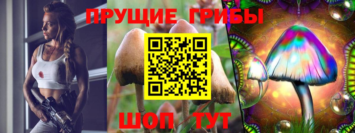 Трёхгорный  Псилоцибиновые грибы Cubensis  Вход с VPN 